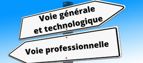 L'excellence de la voie professionnelle à l'honneur